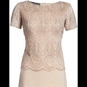 PISARRO NIGHTS - Beaded Bodice Chiffon Gown - Size: 12  Color: BLUSH